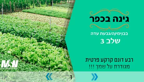 מצגת גבעת עדה 3